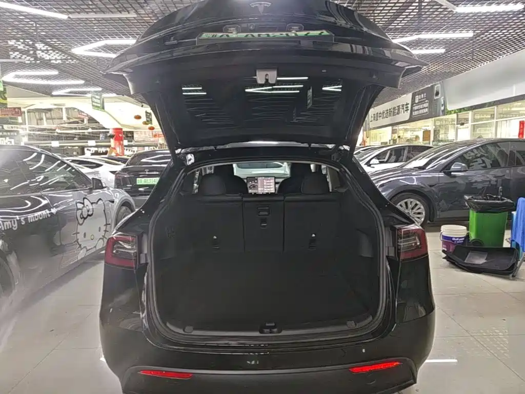 Tesla Model Y — фото 19