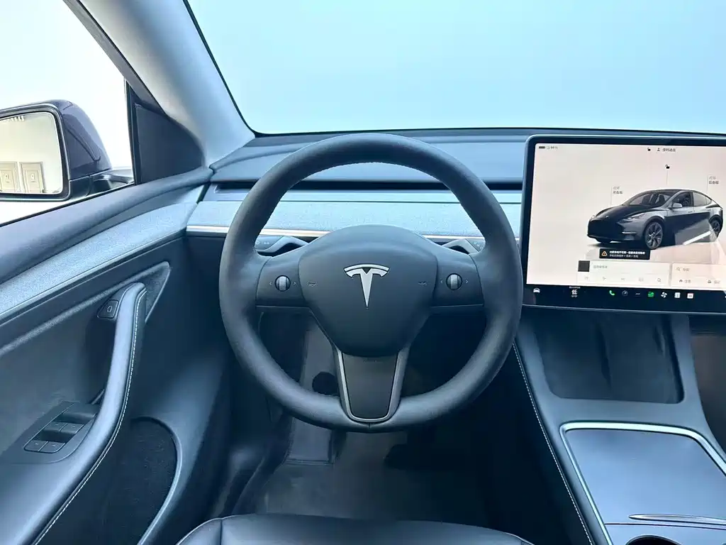 Tesla Model Y — фото 14
