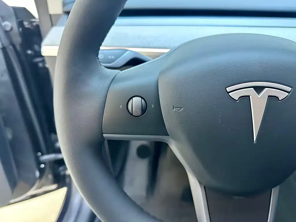Tesla Model Y — фото 15