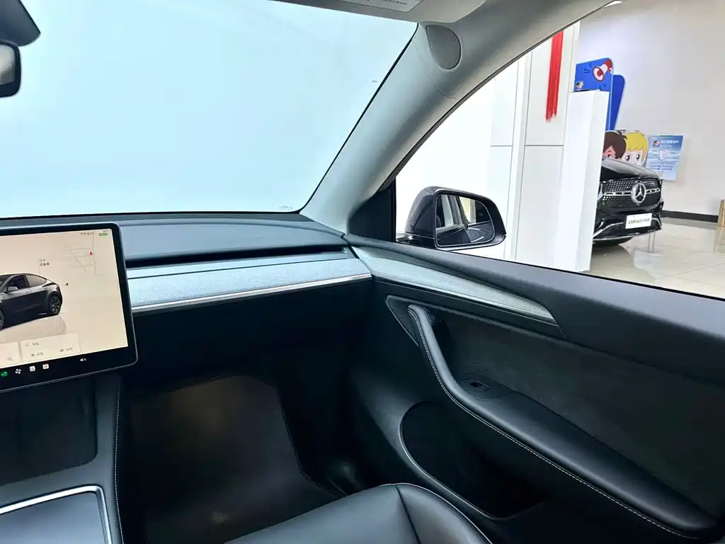Tesla Model Y — фото 20