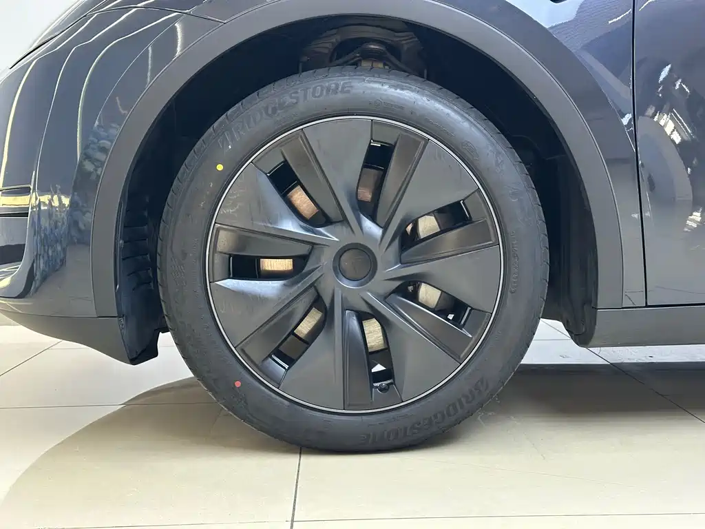 Tesla Model Y — фото 21