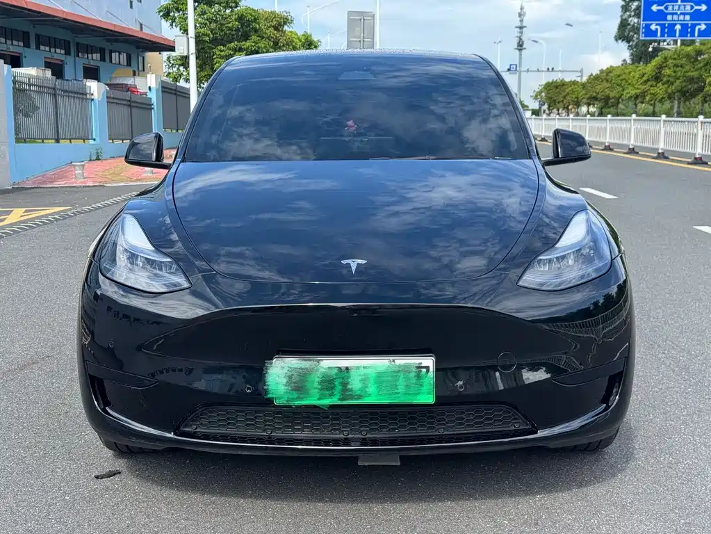 Tesla Model Y — фото 2