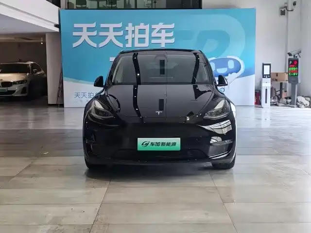 Tesla Model Y — фото 2