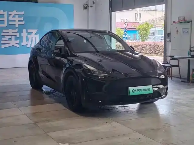 Tesla Model Y — фото 3