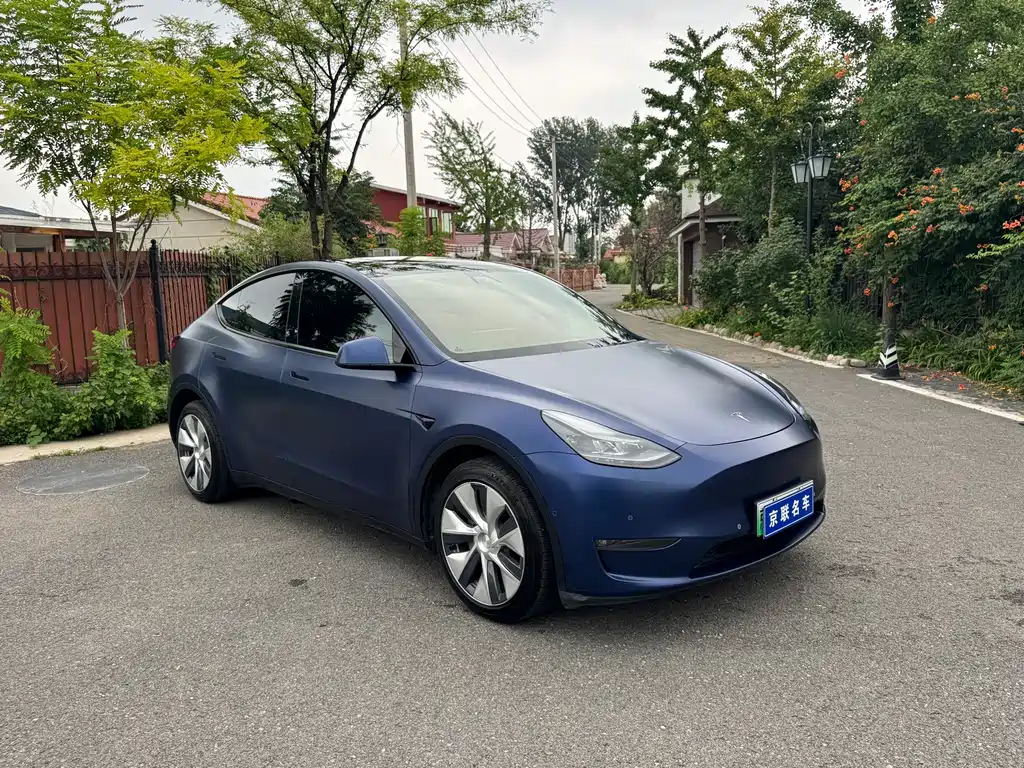Tesla Model Y — фото 3
