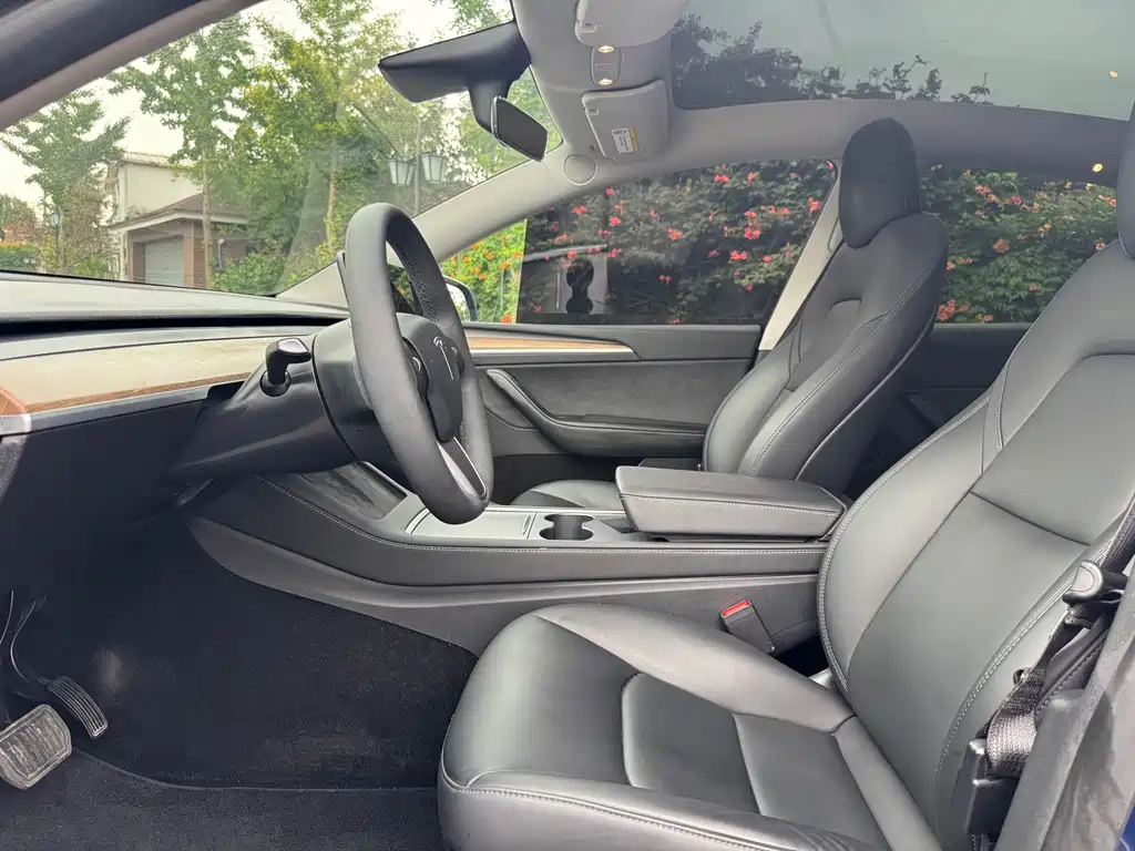 Tesla Model Y — фото 8