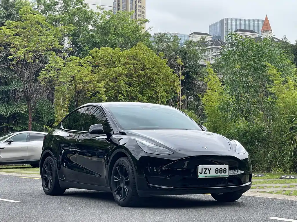 Tesla Model Y — фото 3