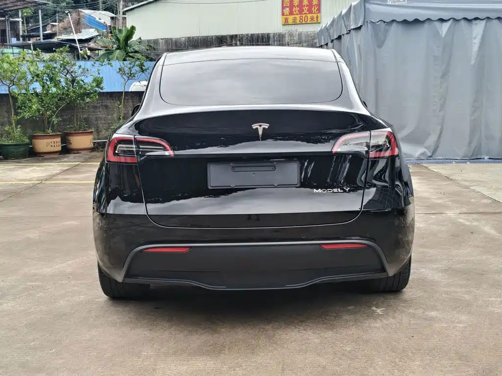 Tesla Model Y — фото 5