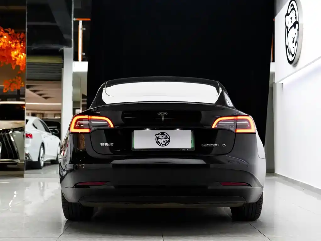 Tesla Model 3 — фото 8