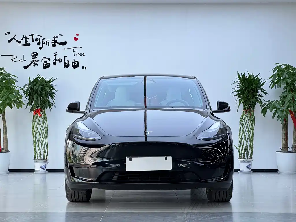 Tesla Model Y — фото 2