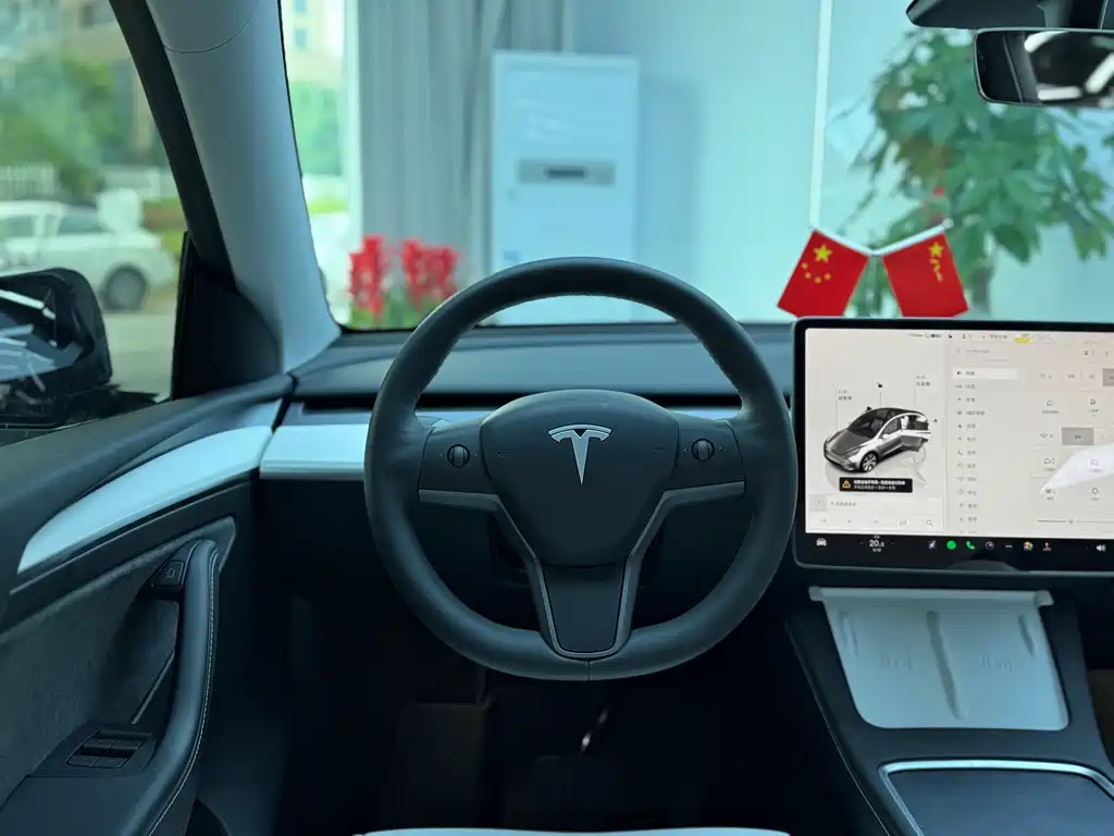 Tesla Model Y — фото 11