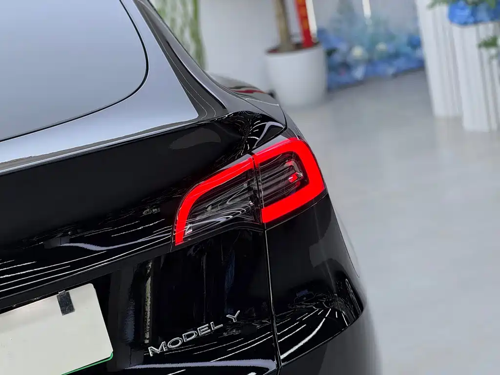 Tesla Model Y — фото 14