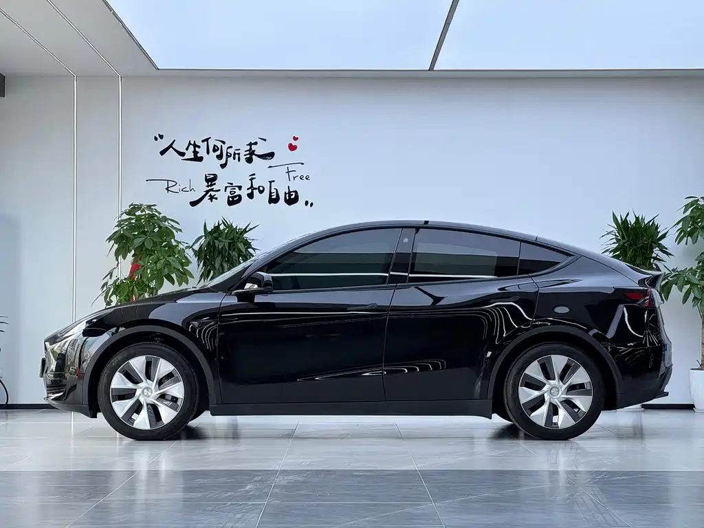 Tesla Model Y — фото 17