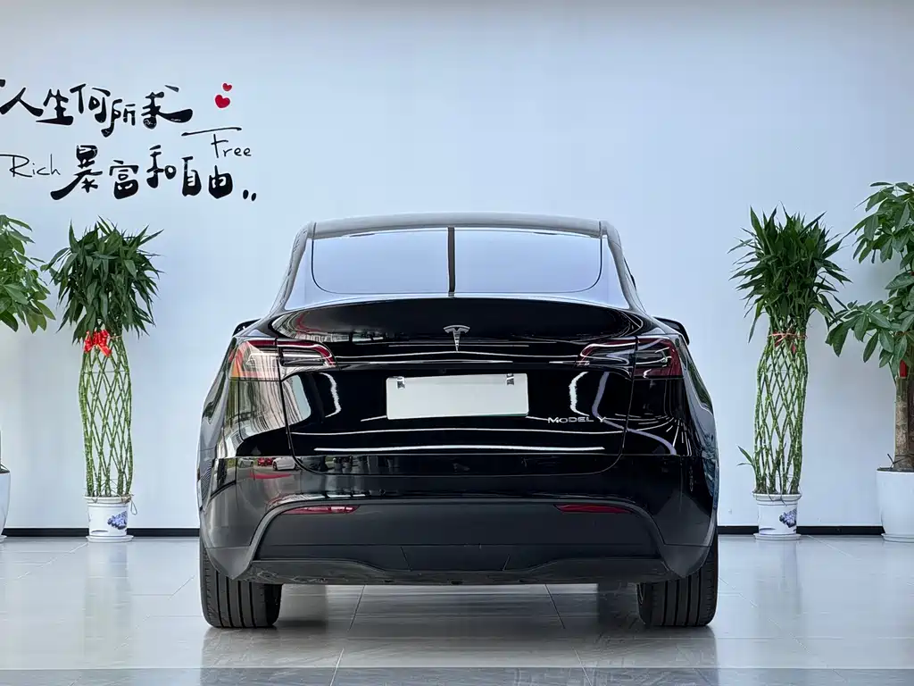 Tesla Model Y — фото 18