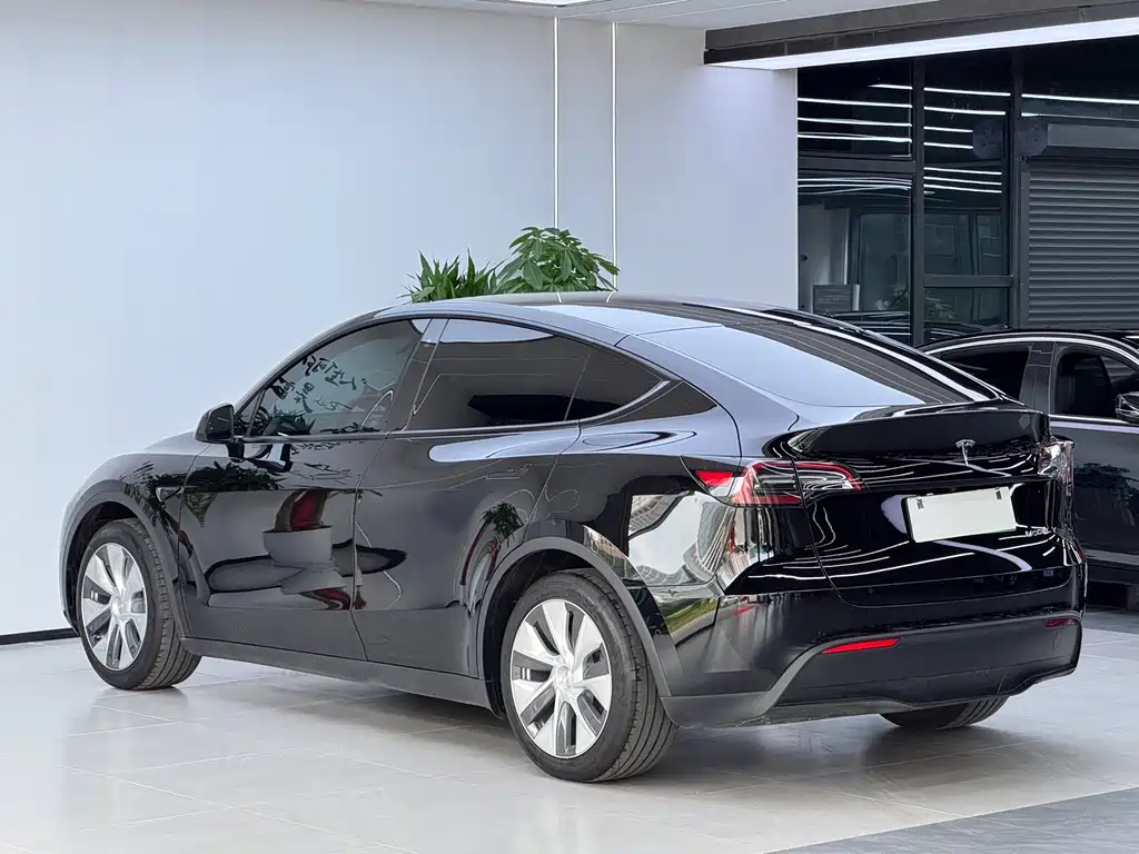 Tesla Model Y — фото 19
