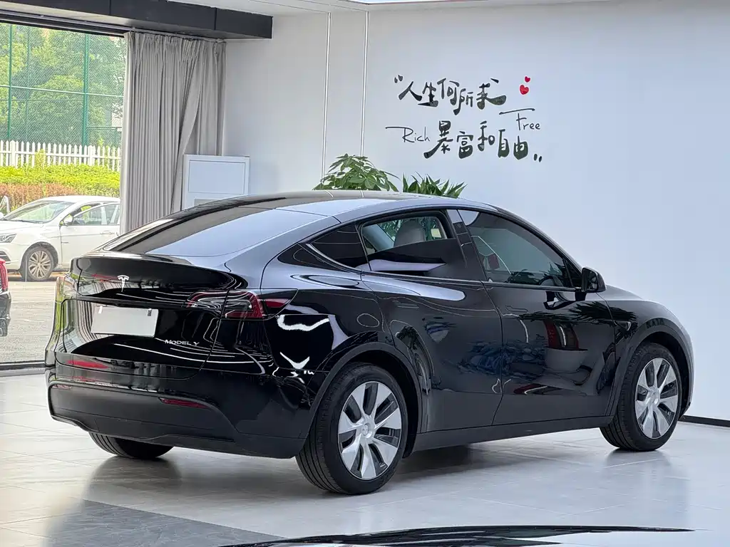 Tesla Model Y — фото 3