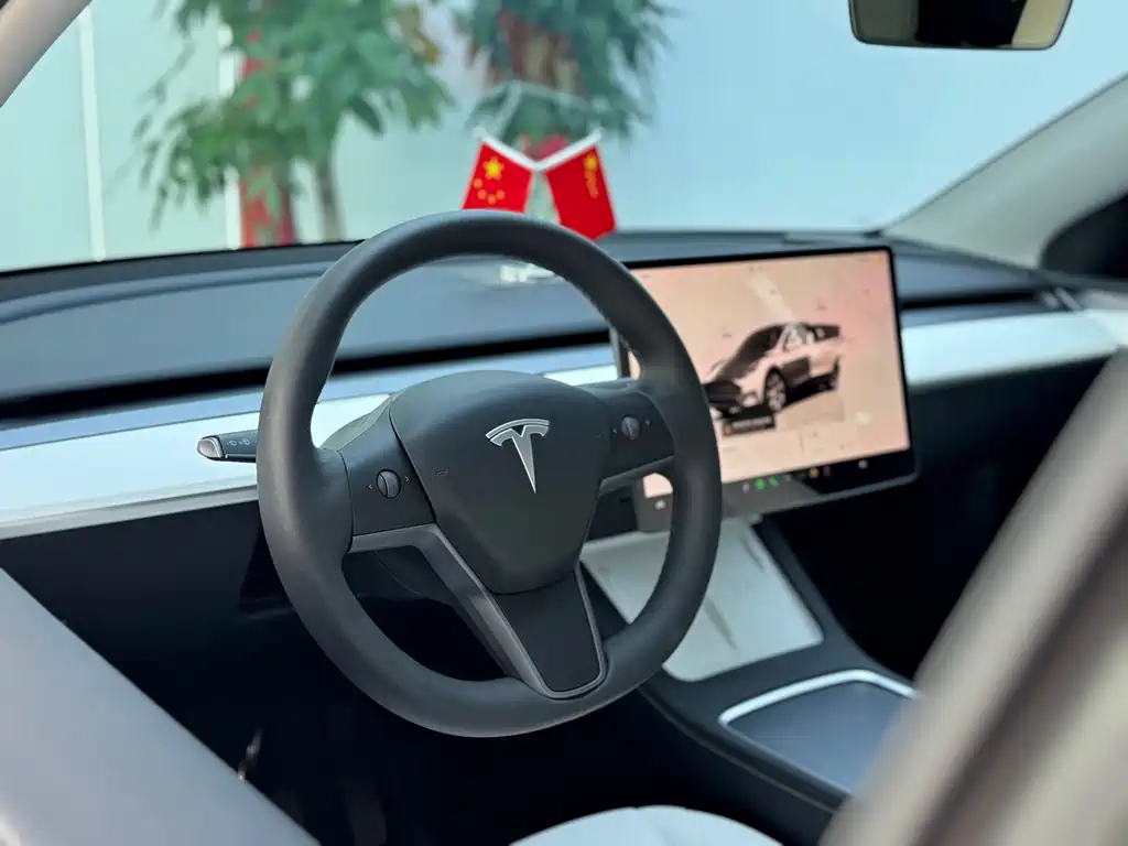 Tesla Model Y — фото 8