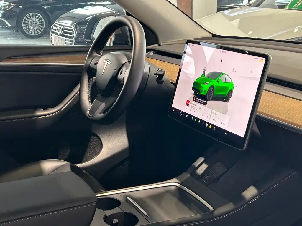 Tesla Model Y — фото 20