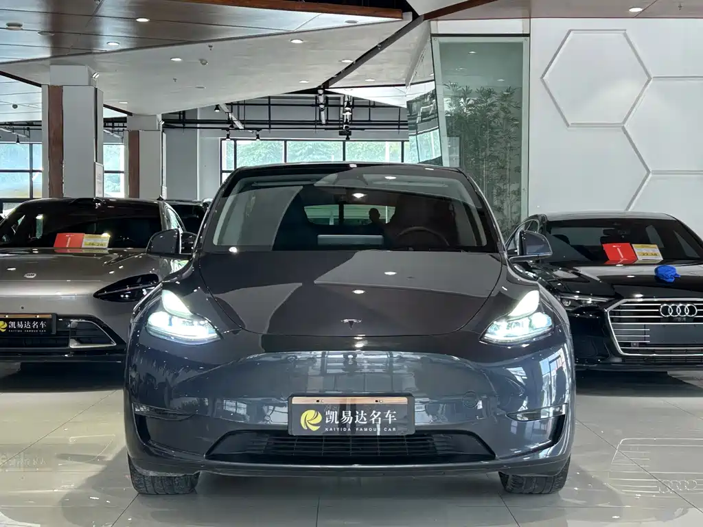 Tesla Model Y — фото 3