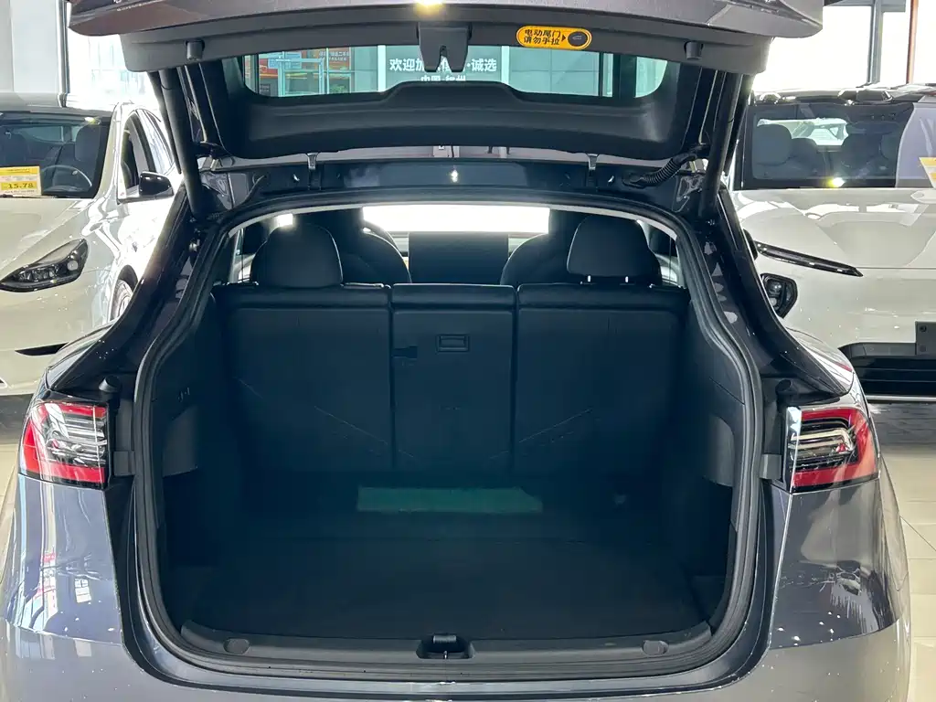Tesla Model Y — фото 21