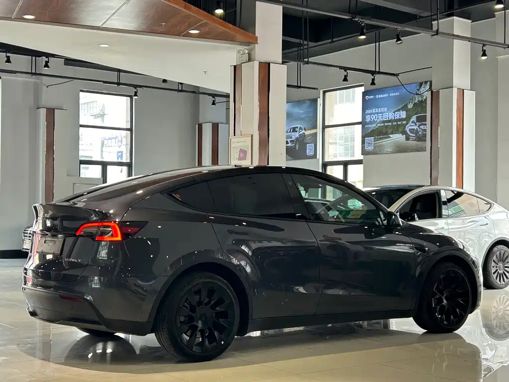 Tesla Model Y — фото 22