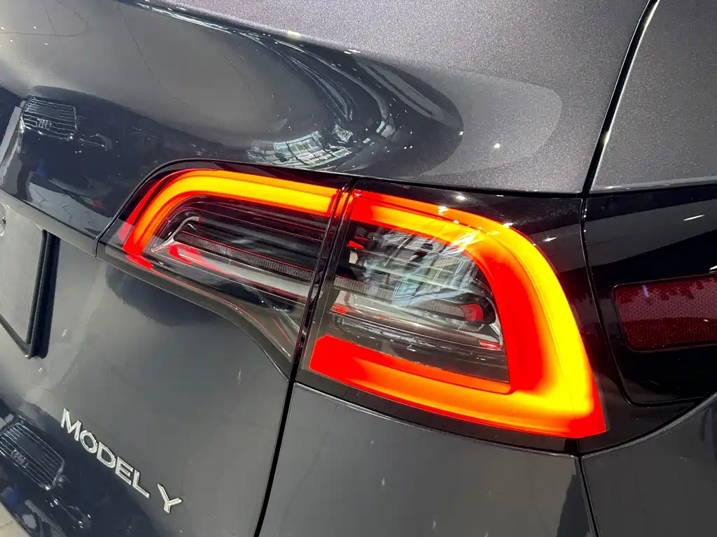 Tesla Model Y — фото 23