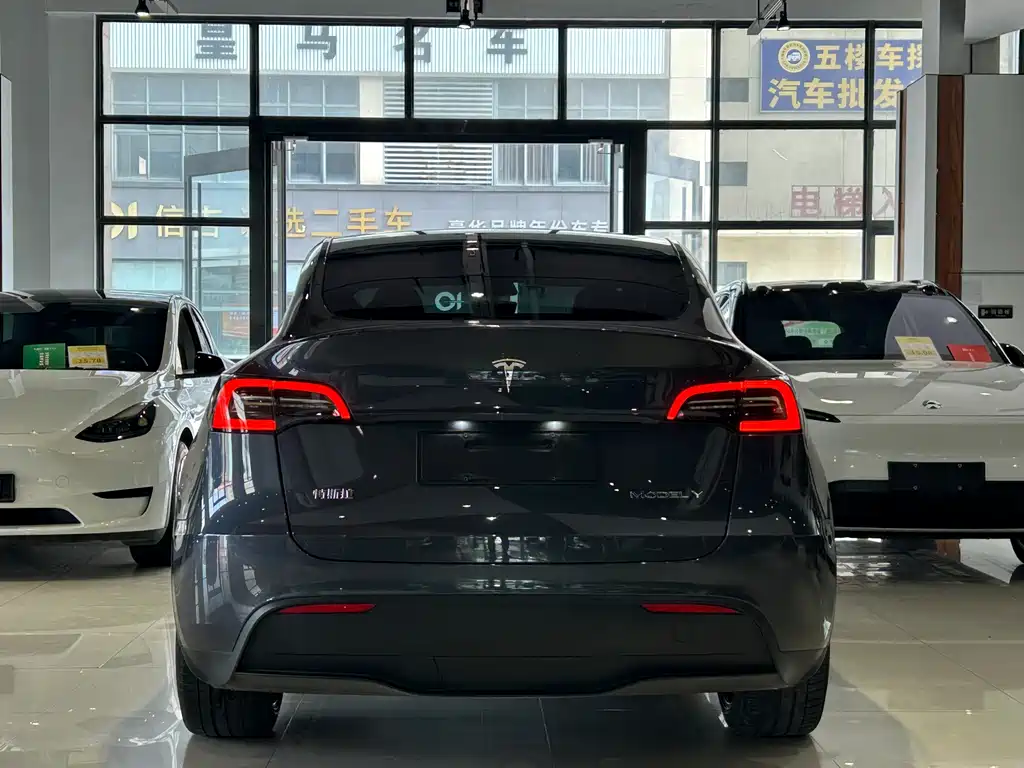 Tesla Model Y — фото 24
