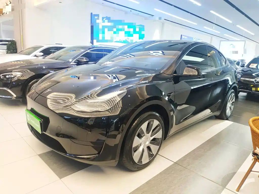 Tesla Model Y — фото 2