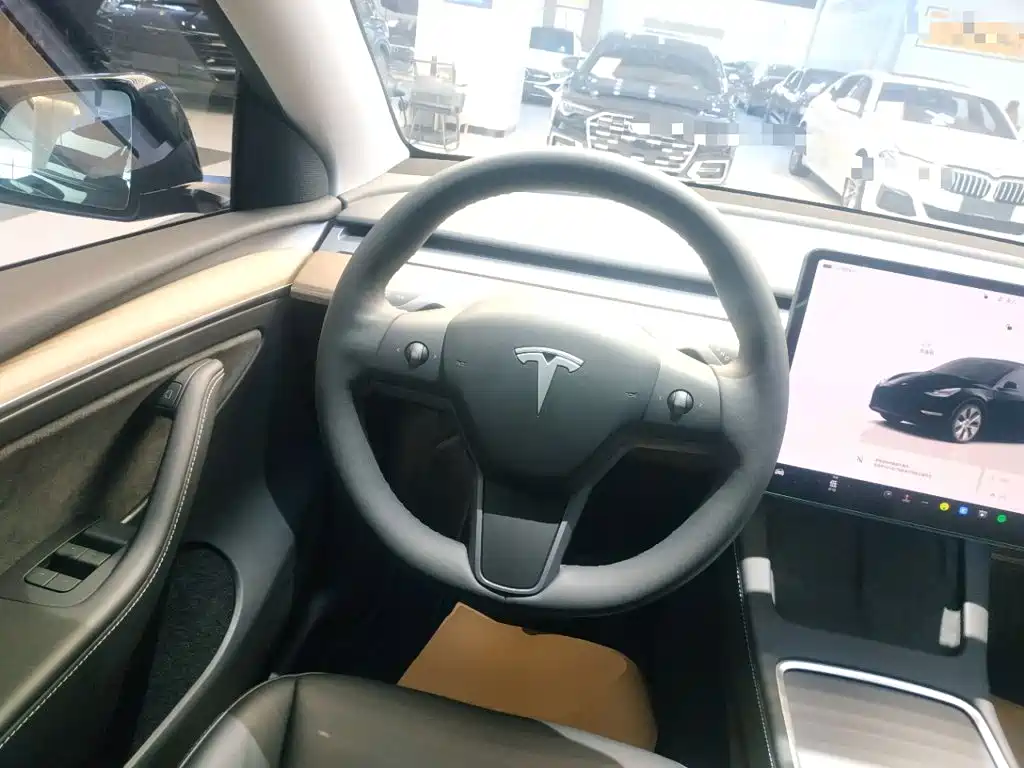 Tesla Model Y — фото 11