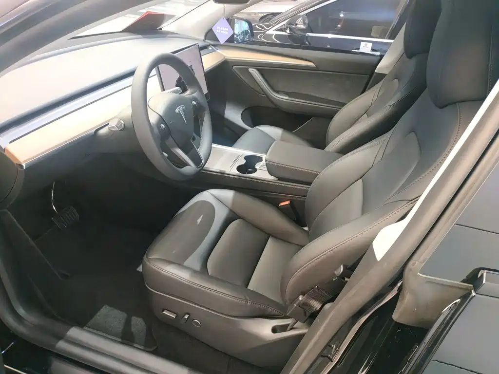 Tesla Model Y — фото 15