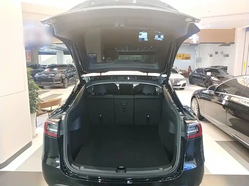 Tesla Model Y — фото 19