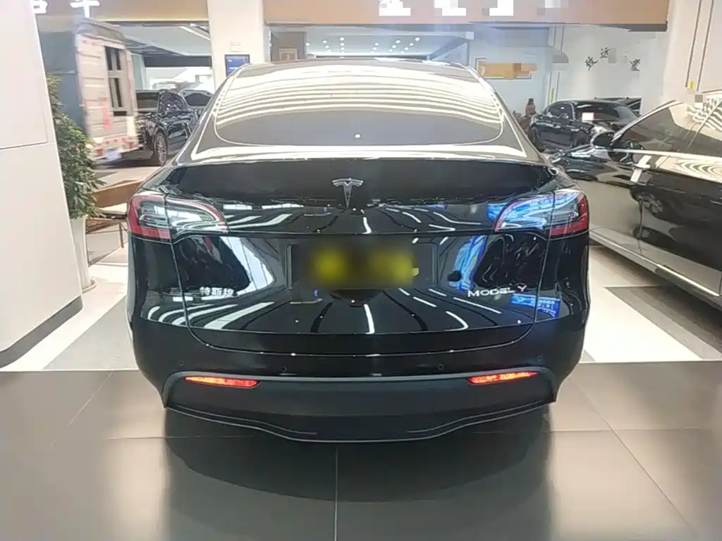 Tesla Model Y — фото 6