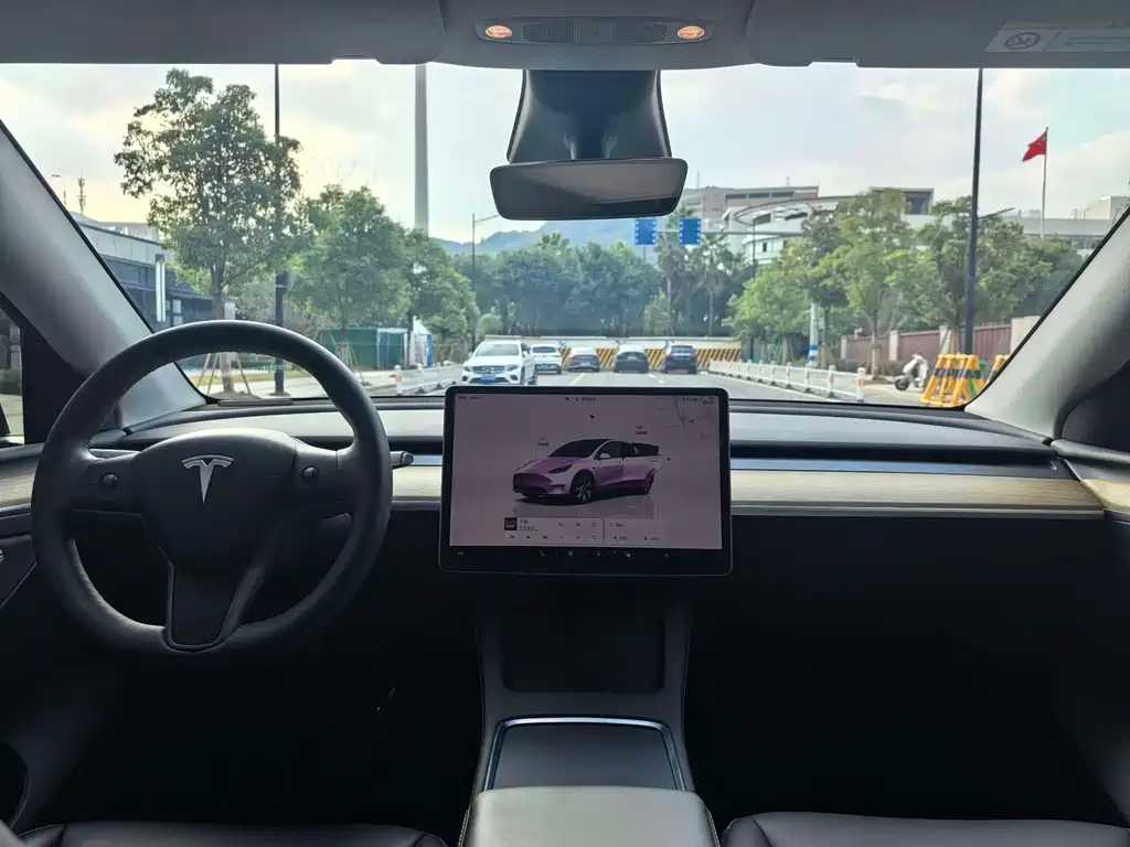 Tesla Model Y — фото 9