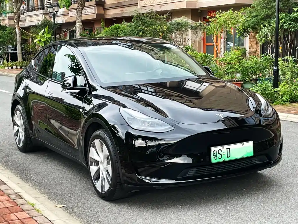 Tesla Model Y — фото 3