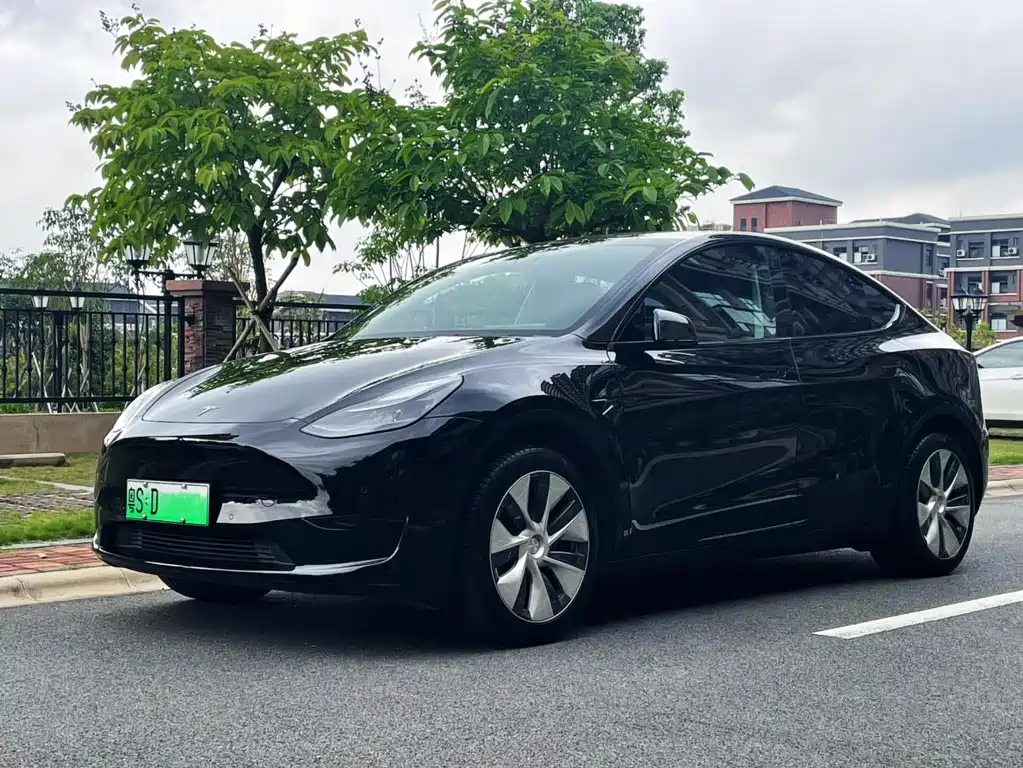 Tesla Model Y — фото 8
