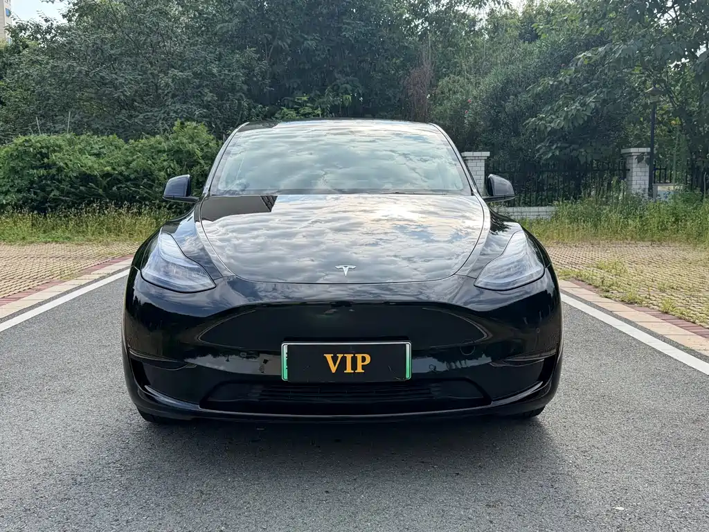 Tesla Model Y — фото 2