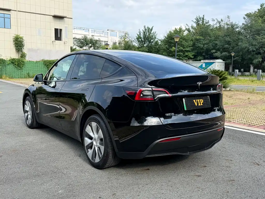 Tesla Model Y — фото 9