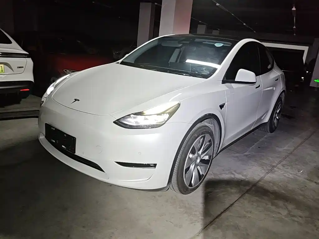 Tesla Model Y — фото 2