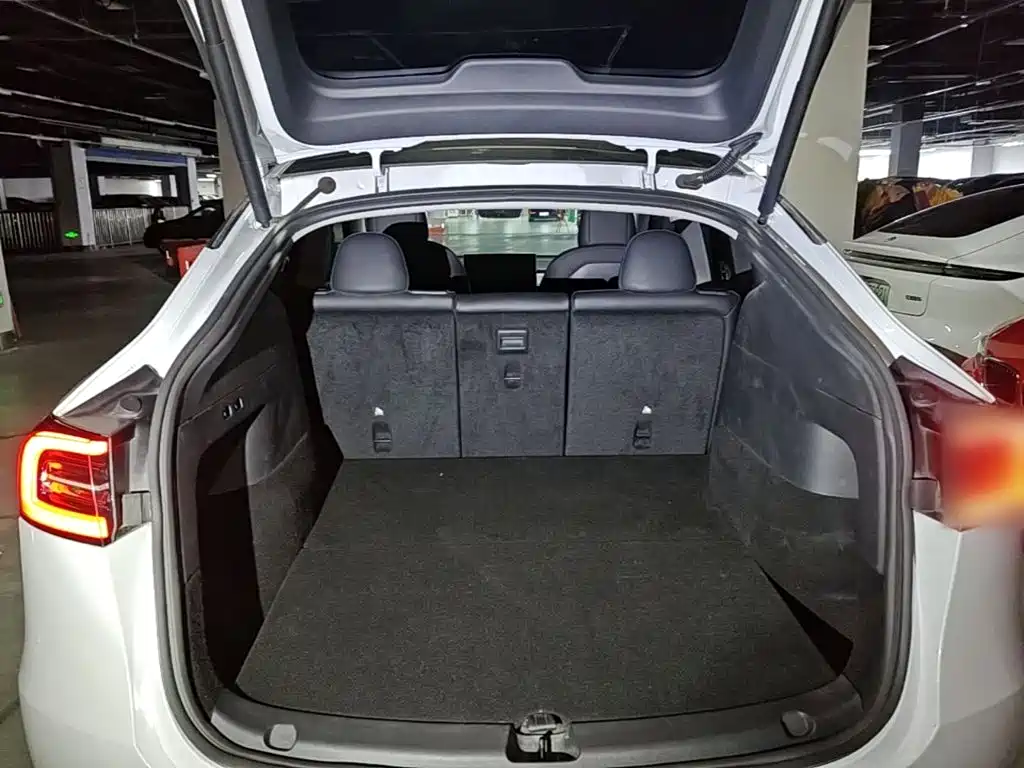 Tesla Model Y — фото 19