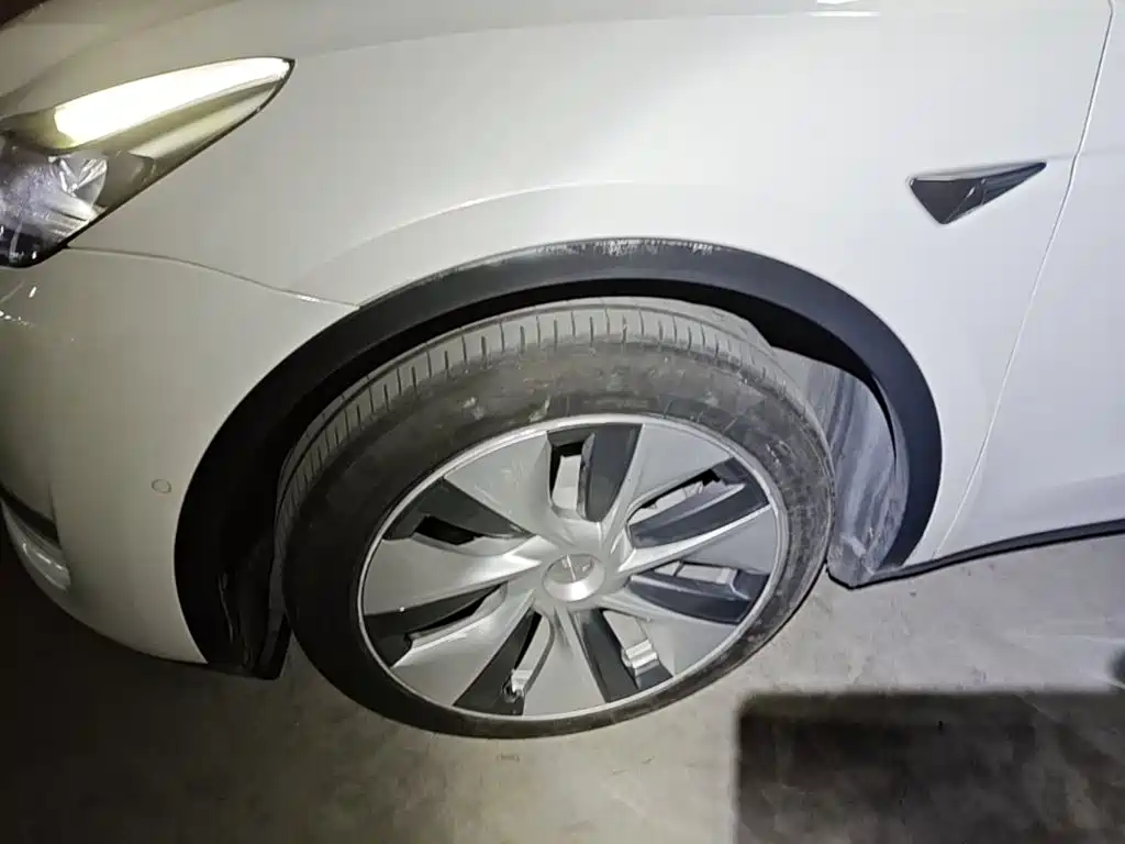 Tesla Model Y — фото 23