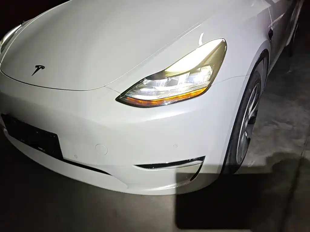 Tesla Model Y — фото 24