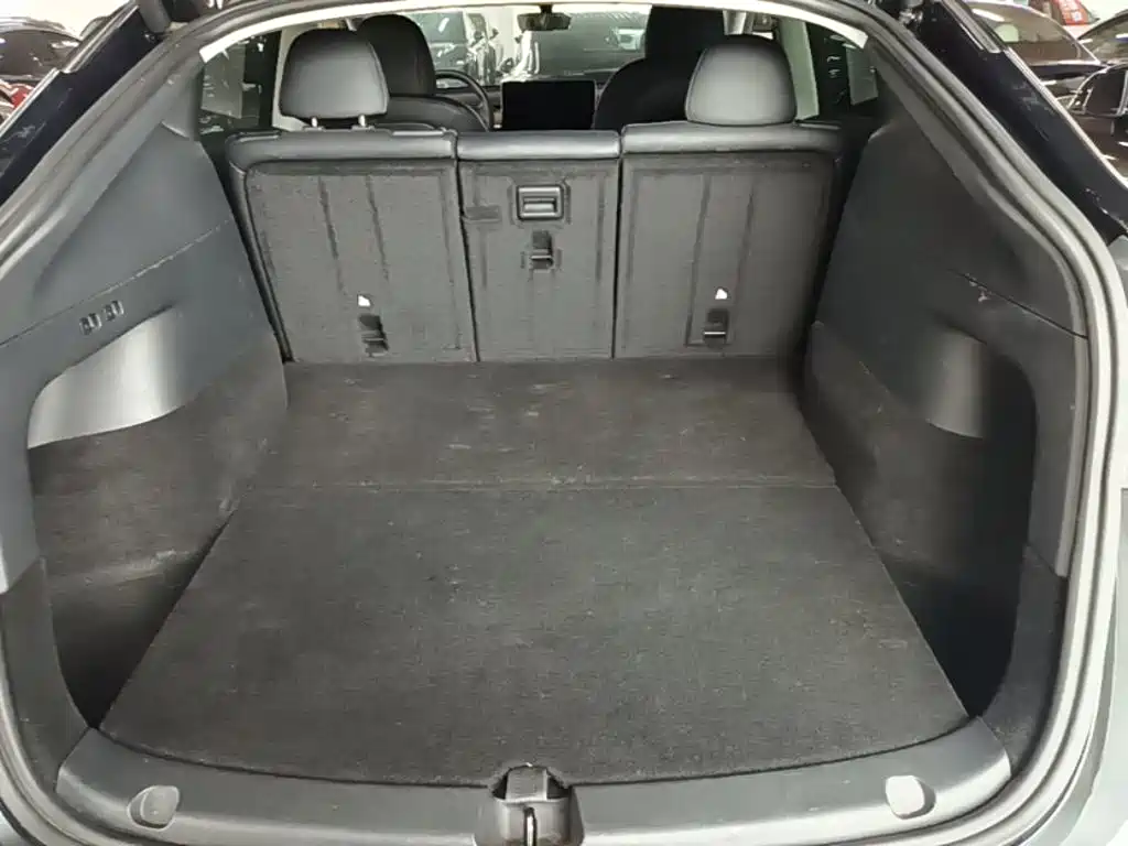 Tesla Model Y — фото 19