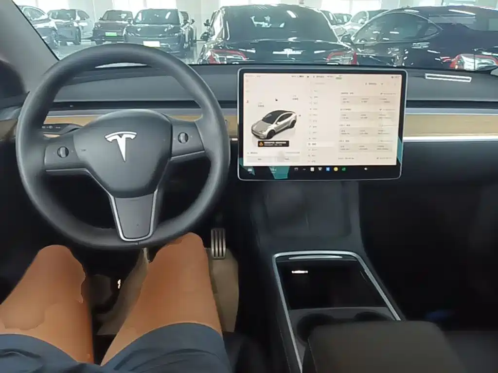 Tesla Model Y — фото 10