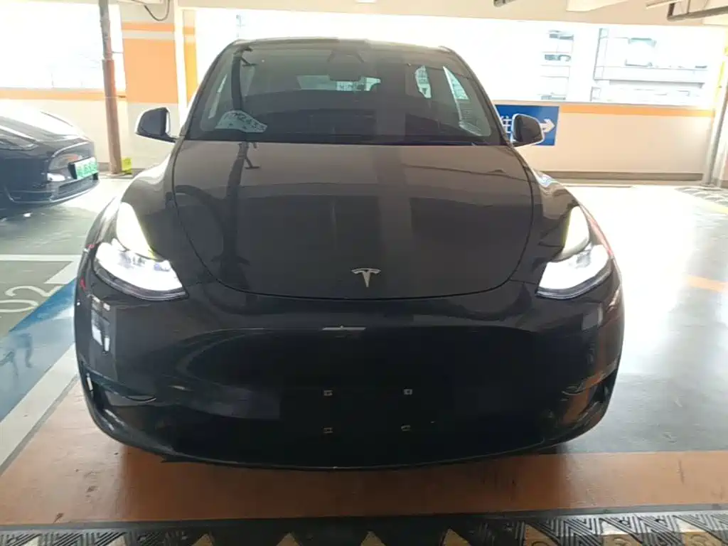 Tesla Model Y — фото 3