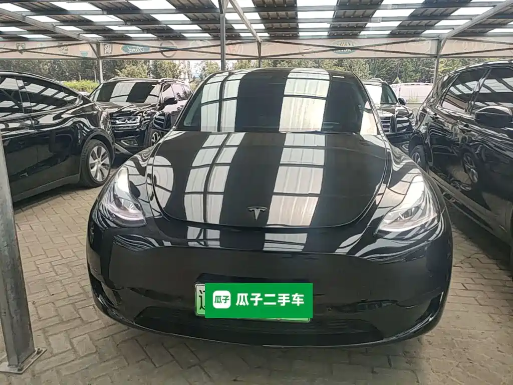 Tesla Model Y — фото 3