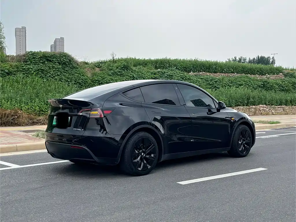 Tesla Model Y — фото 3