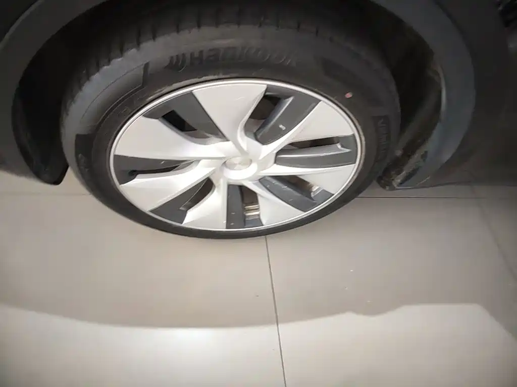 Tesla Model Y — фото 23
