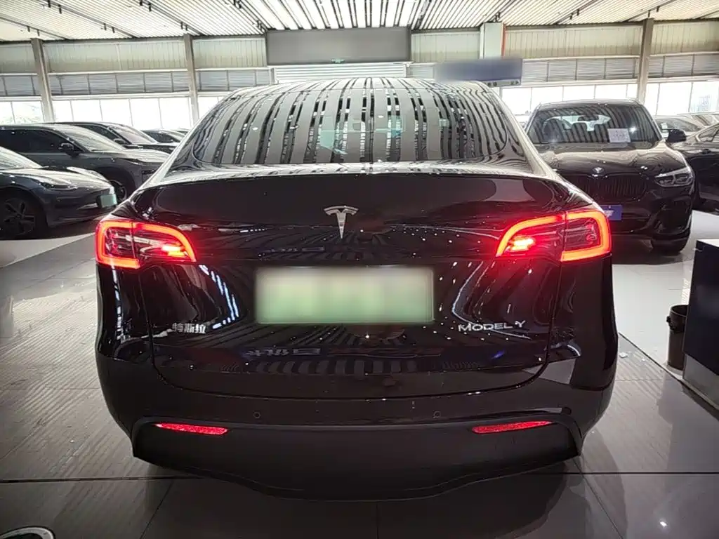 Tesla Model Y — фото 6