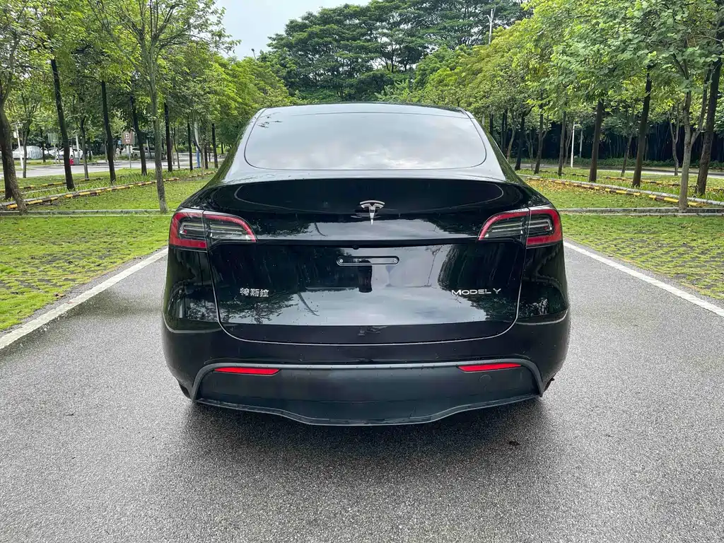 Tesla Model Y — фото 5