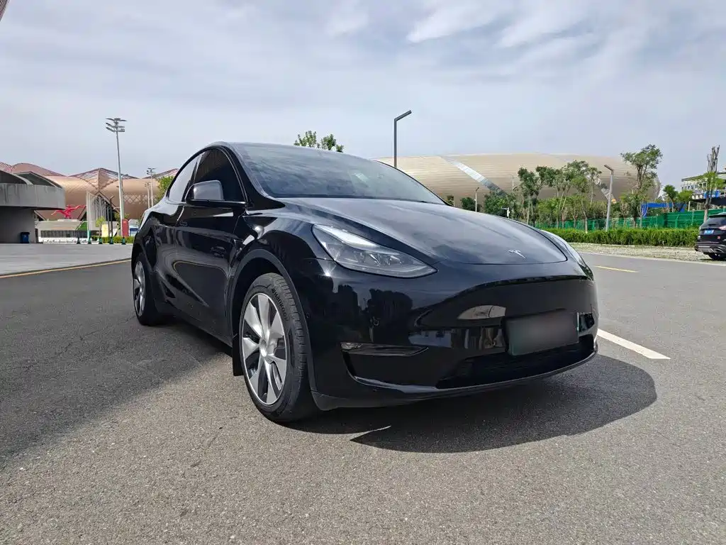 Tesla Model Y — фото 3